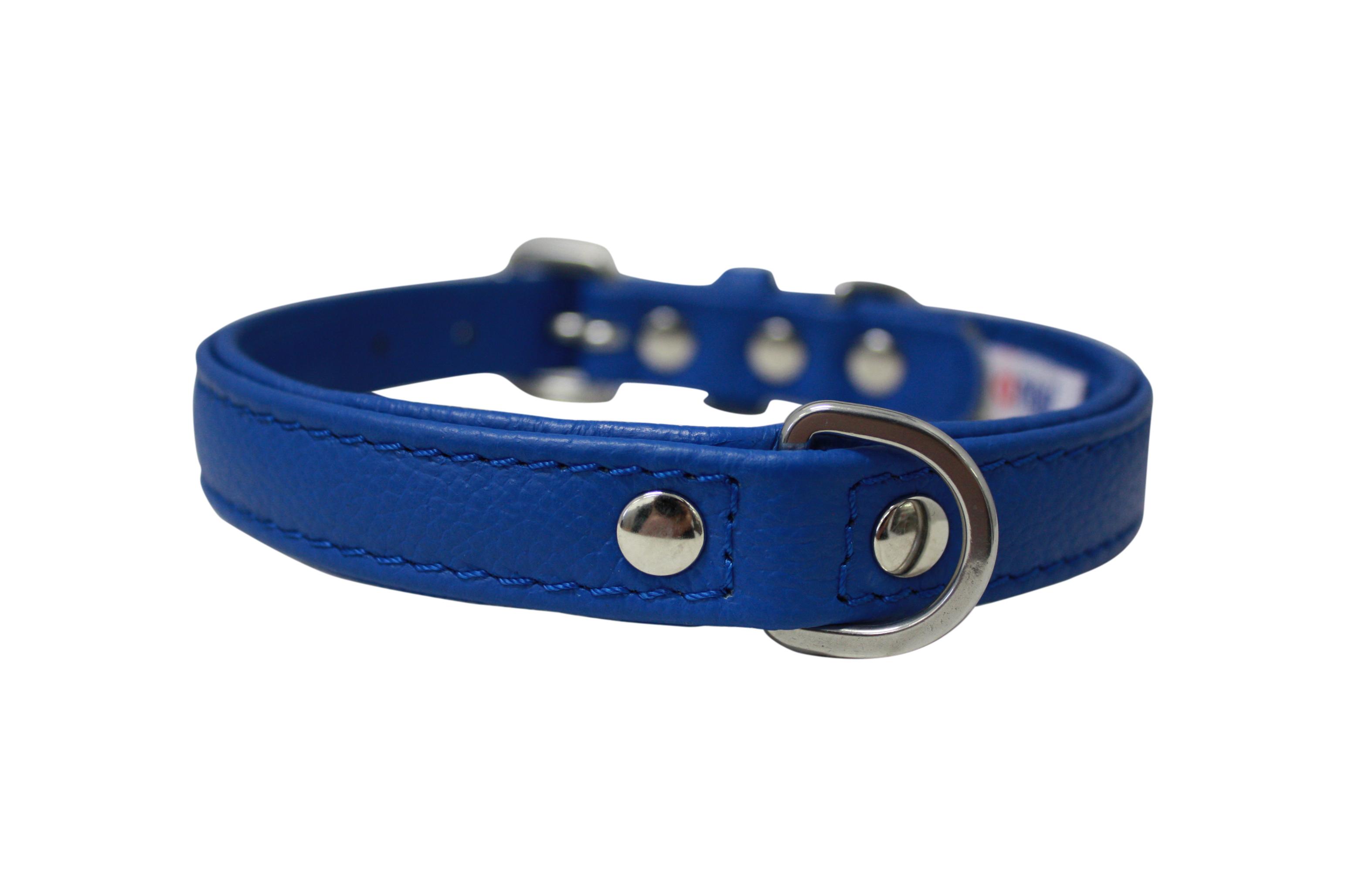 Angel Alpine Plain Dog Collar, Cobalt Blue, 14-in x 0.75-in