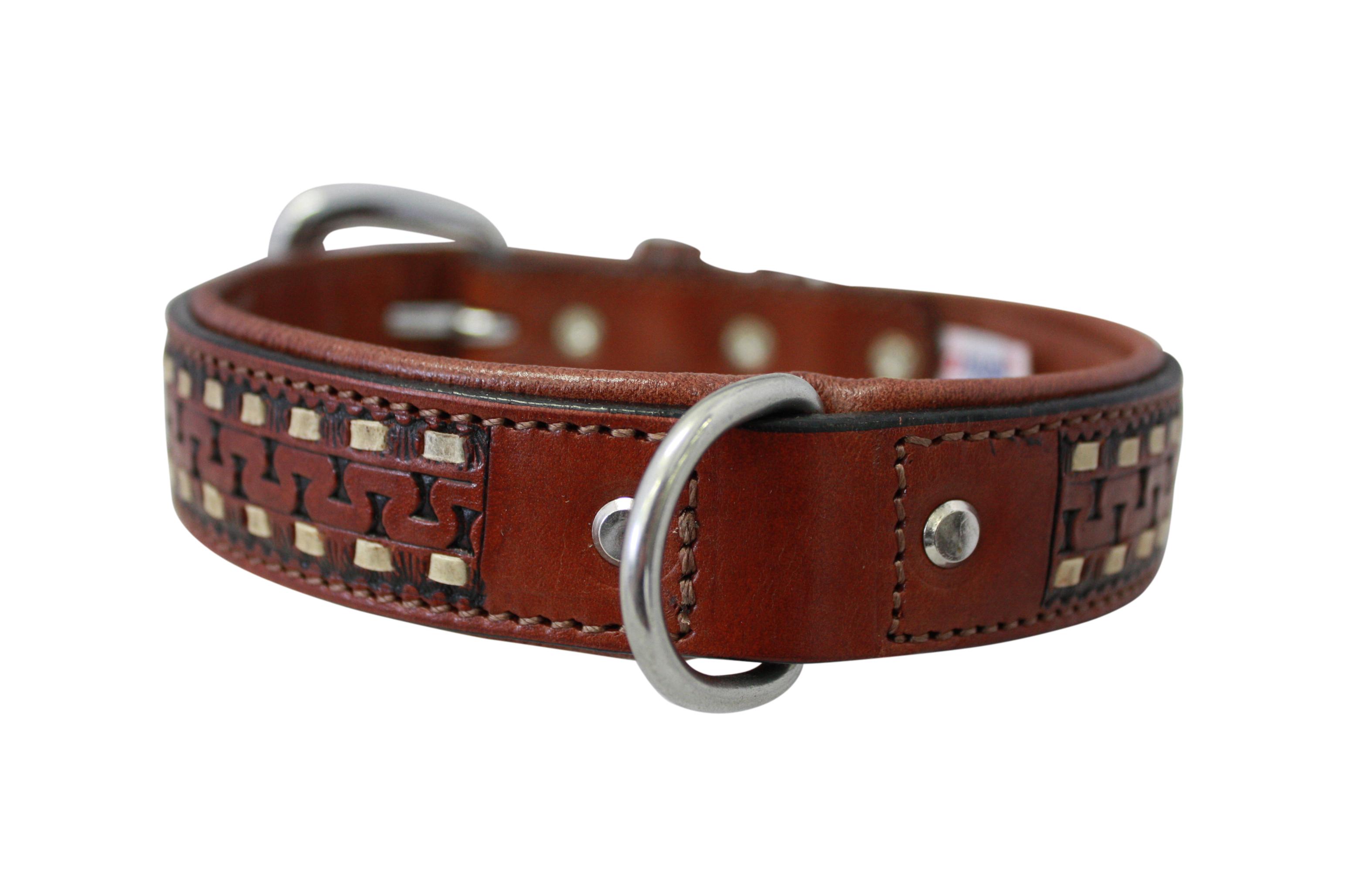 Angel Tulsa Dog Collar, Brown, 24-in x 1.5-in