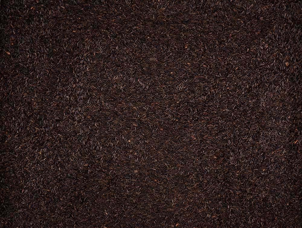 Volkman Nyjer Seed Wild Bird Food