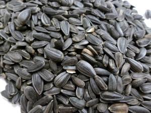 Volkman Black Oil Sunflower Seed Wild Bird Food, 20-lb