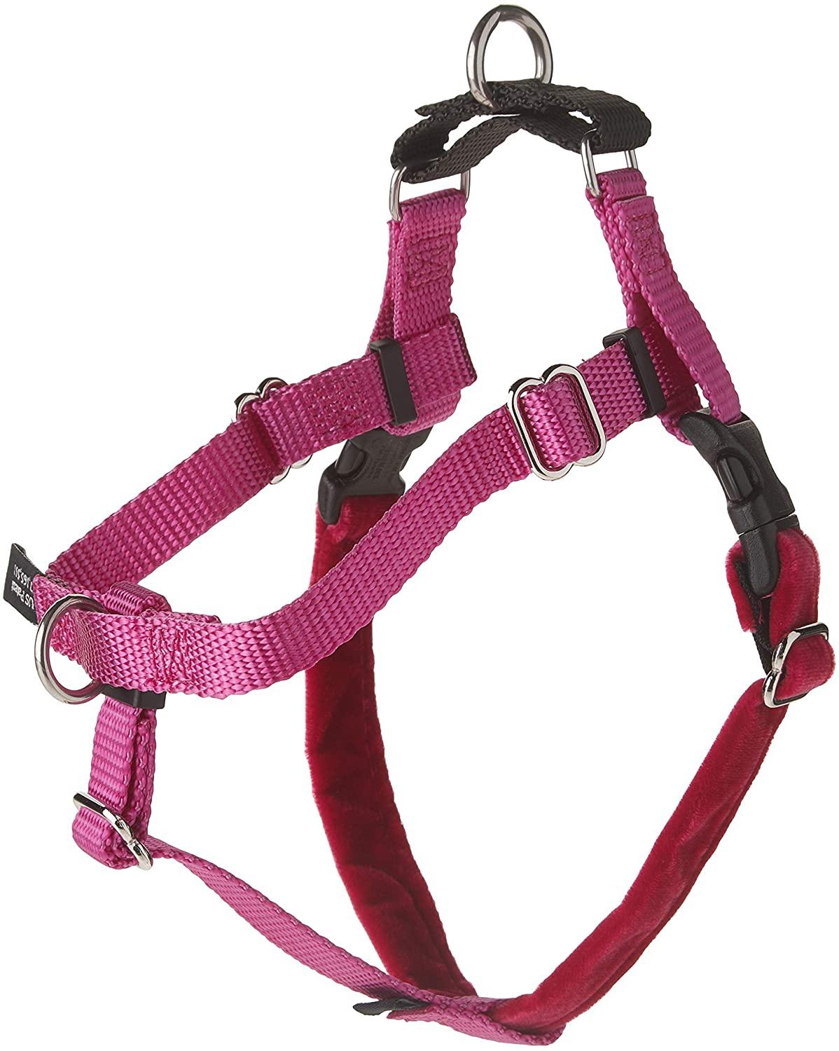 2 Hounds Design Freedom No Pull Dog Harness, Raspberry, 1-in x 28-32-in
