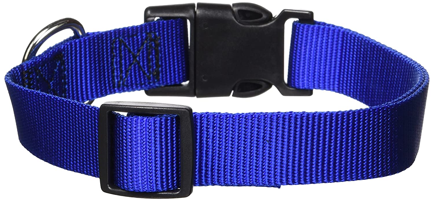 Guardian Gear Dog Collar, Blue