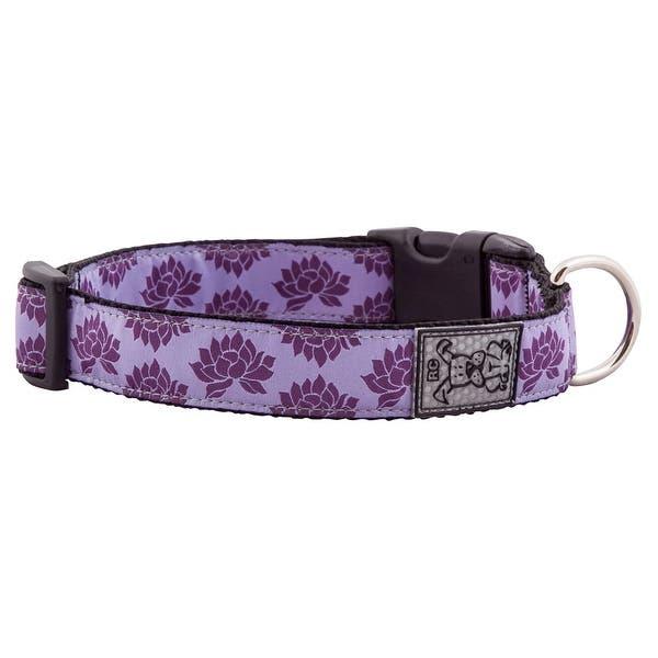 RC Pets Clip Dog Collar, Nirvana