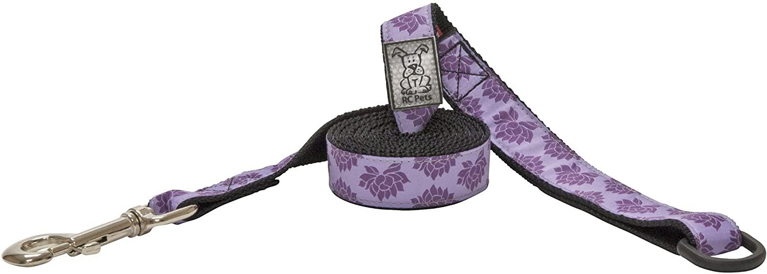 RC Pets Dog Leash, Nirvana, 1-in x 6-ft