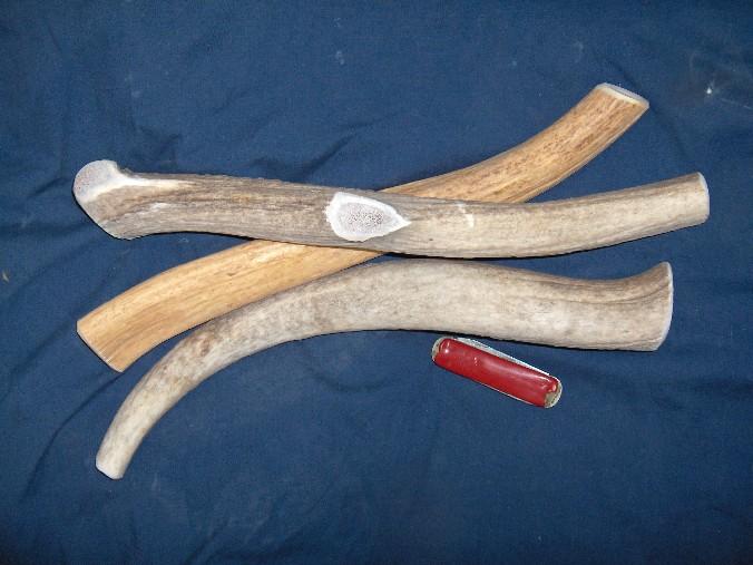 Grande Natural Antler Company Dawg Gnaws Whole Antler Dog Treats, Small