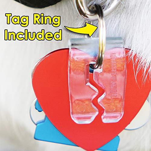 SilenTags Wrangle the Jangle Pet Tag Silencer, Transparent