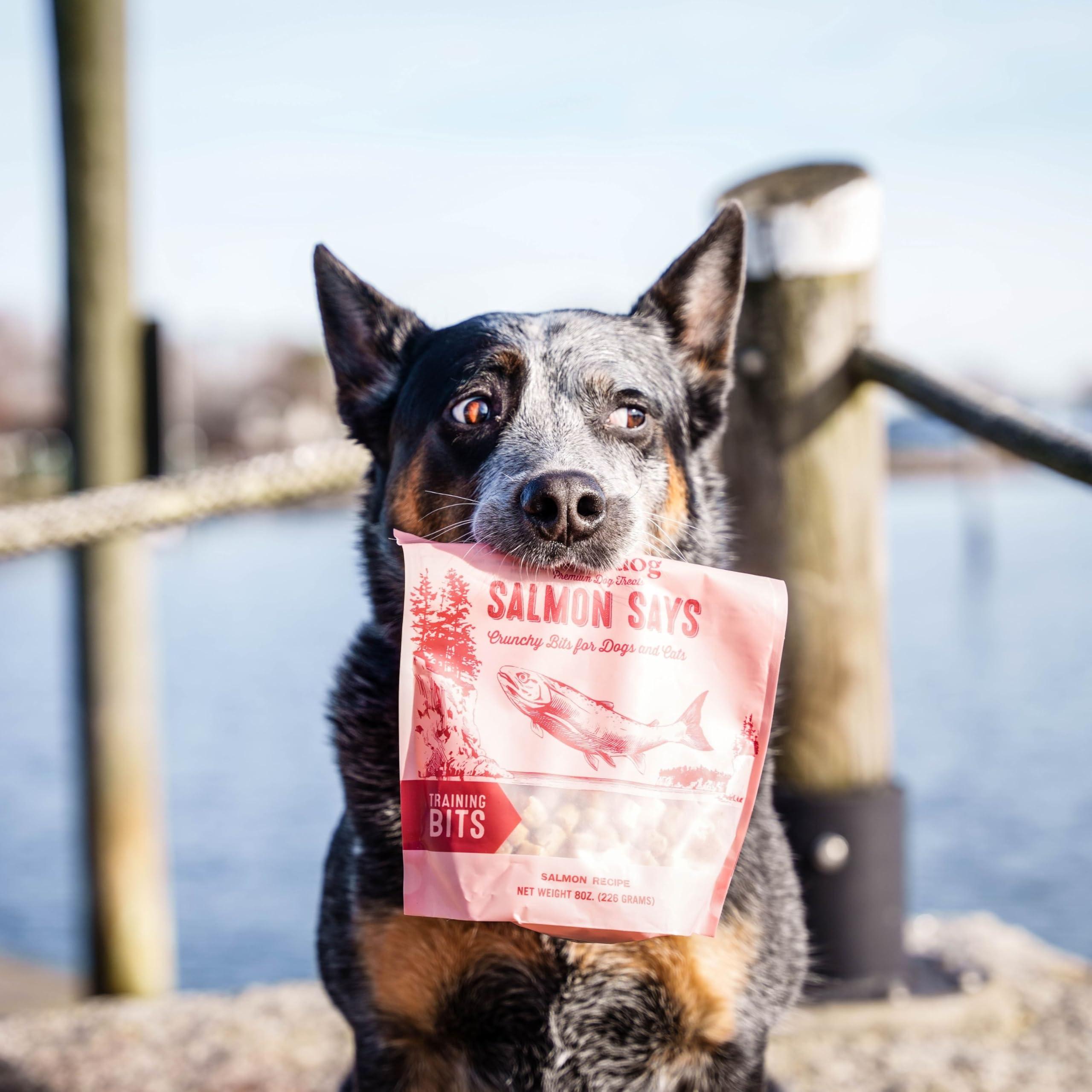 Polkadog Salmon Says Training Bits Dog & Cat Treats, 7-oz