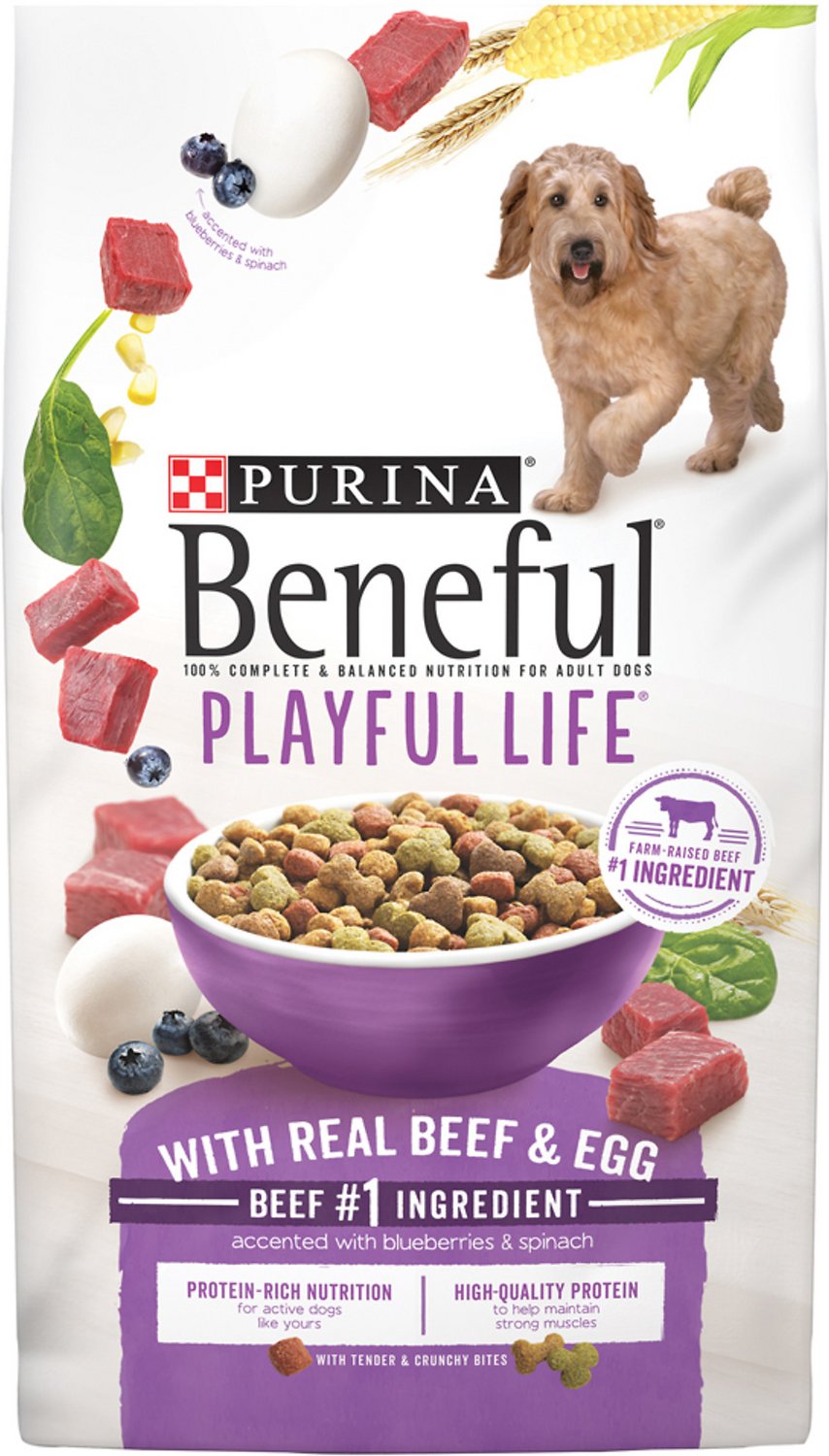 Purina Beneful Playful Life with Real Beef & Egg Dry Dog Food, 15.5-lb