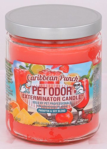 Pet Odor Exterminator Deodorizing Candle Jar, Caribbean Punch, 13-oz