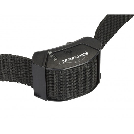 Eyenimal Small Bark Control Dog Collar