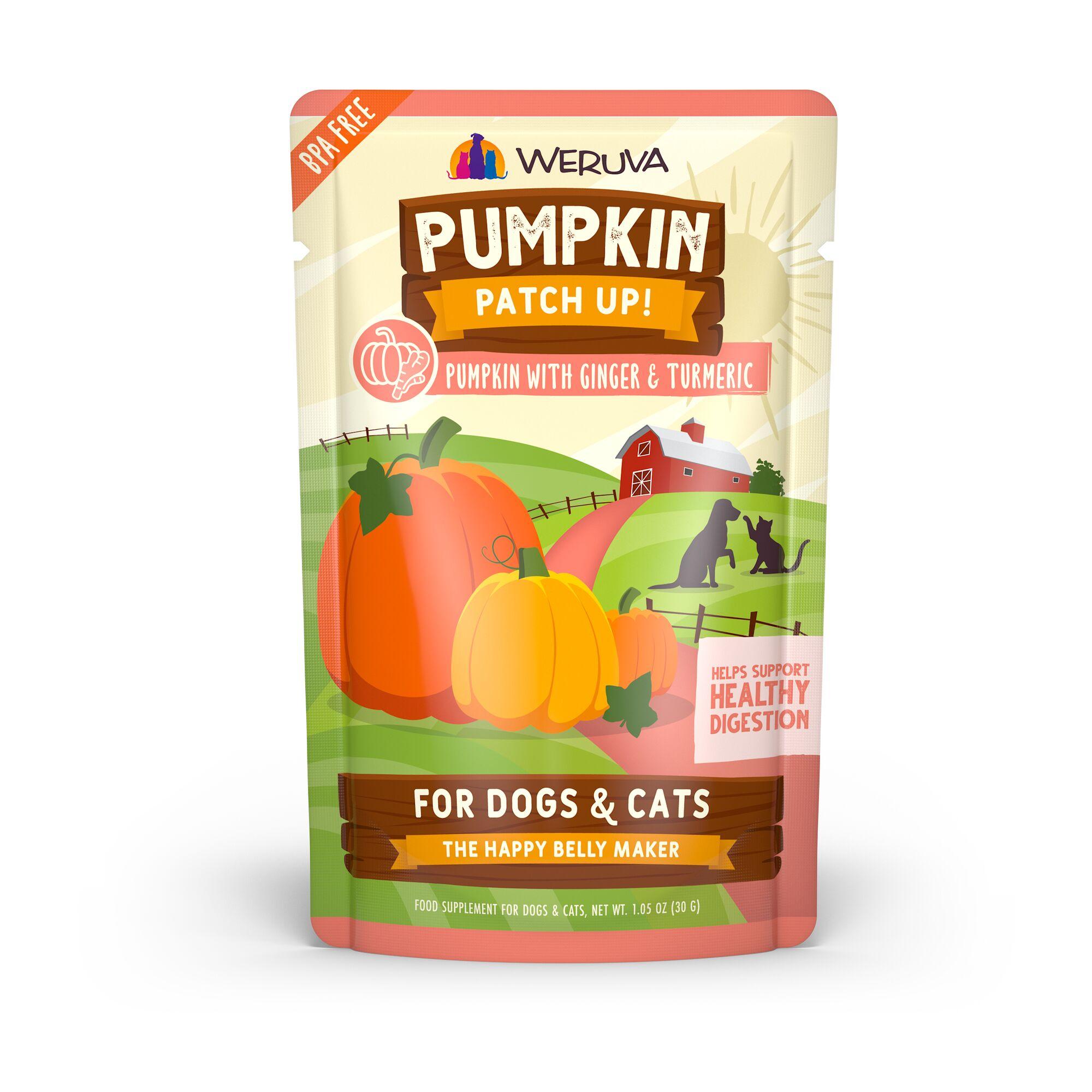 Pumpkin Patch Up Pumpkin with Ginger & Turmeric Dog & Cat Supplement, 1.05-oz