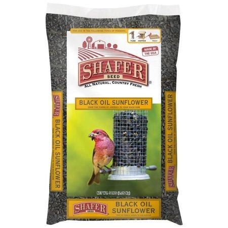 Shafer Seed Black Oil Sunflower Seed Wild Bird Food, 5-lb
