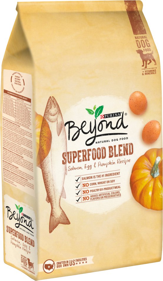 Purina Beyond Superfood Blend Salmon, Egg & Pumpkin Recipe Dry Dog Food