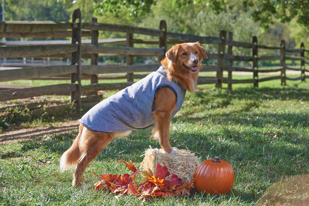 Outdoor Dog Plaid Blue Tweed Coat for Dogs