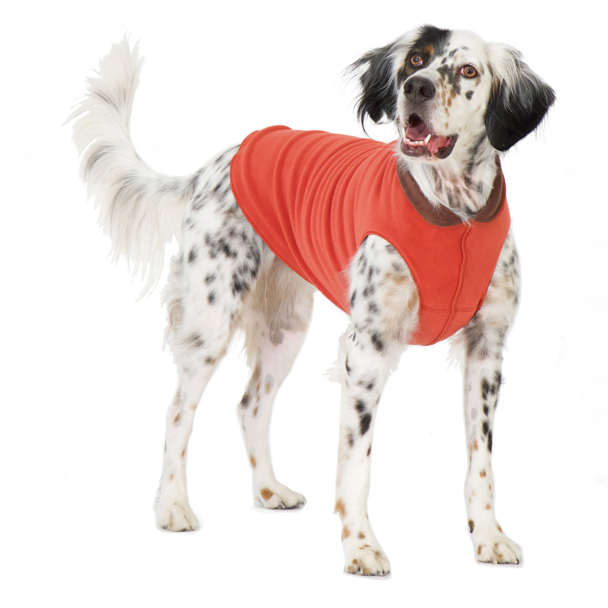 Goldpaw Duluth Double Fleece Dog Coat, Paprika & Chestnut