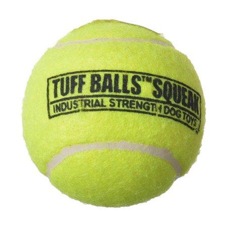 Petsport Tuff Balls Squeak Dog Toy