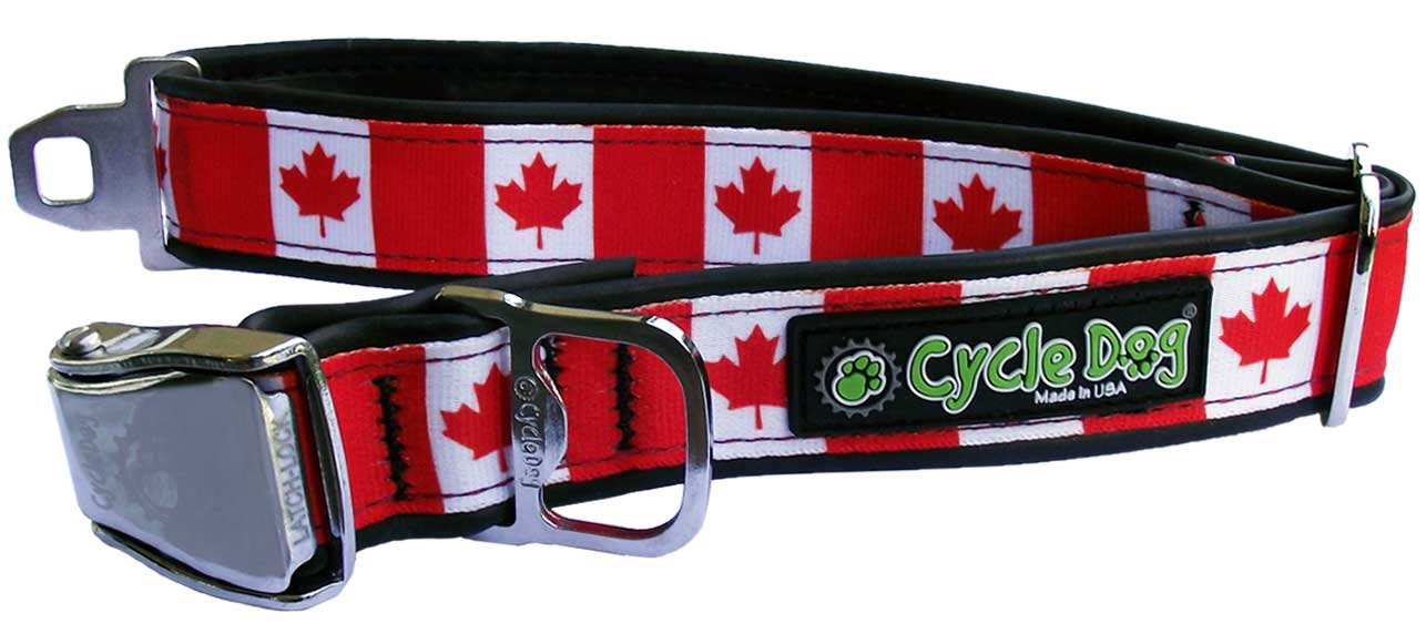 Cycle Dog RegWidth Collar with Metal Buckle for Dogs, Canada