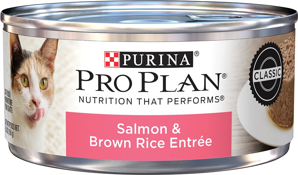 Purina Pro Plan Classic Salmon & Brown Rice Entree in Sauce Canned Cat Food, 5.5-oz