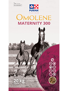 Purina Mills Omolene Maternity 300