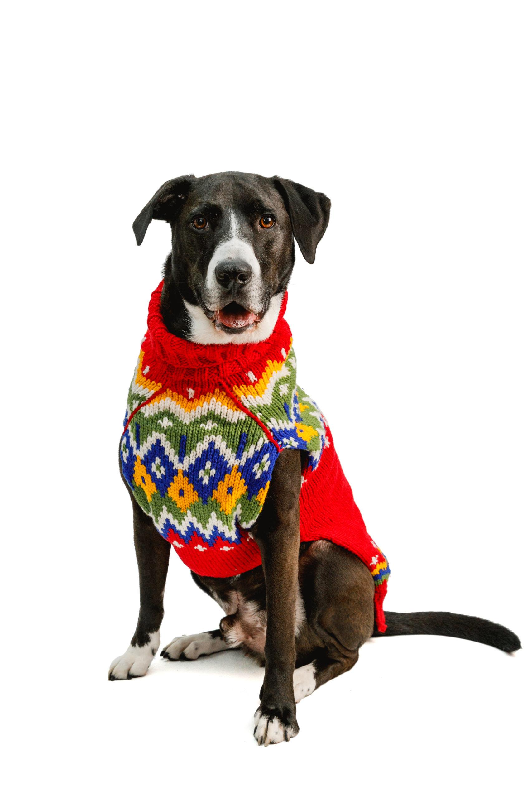 Chilly Dog Holiday Fairisle Dog Sweater