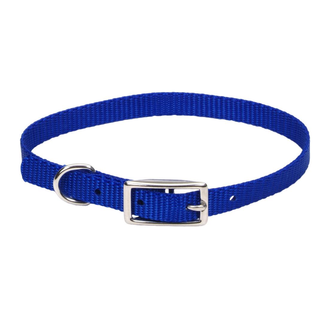 Coastal Single-Ply Dog Collar, Blue, 3/8-in x 12-in