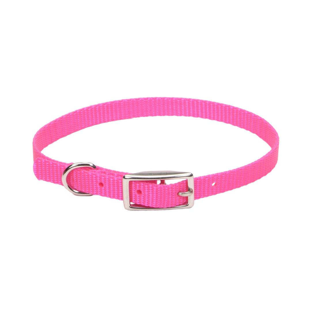 Coastal Single-Ply Dog Collar, Neon Pink