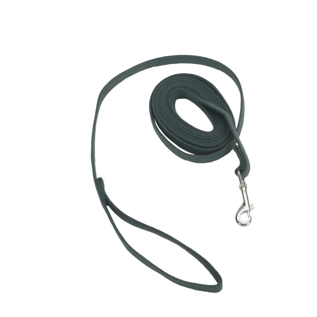 Coastal Train Right! Cotton Web Training Dog Leash, Green, 5/8-in x 6-ft