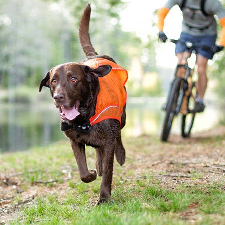 Kurgo Reflective Vest with LED Lights, Orange