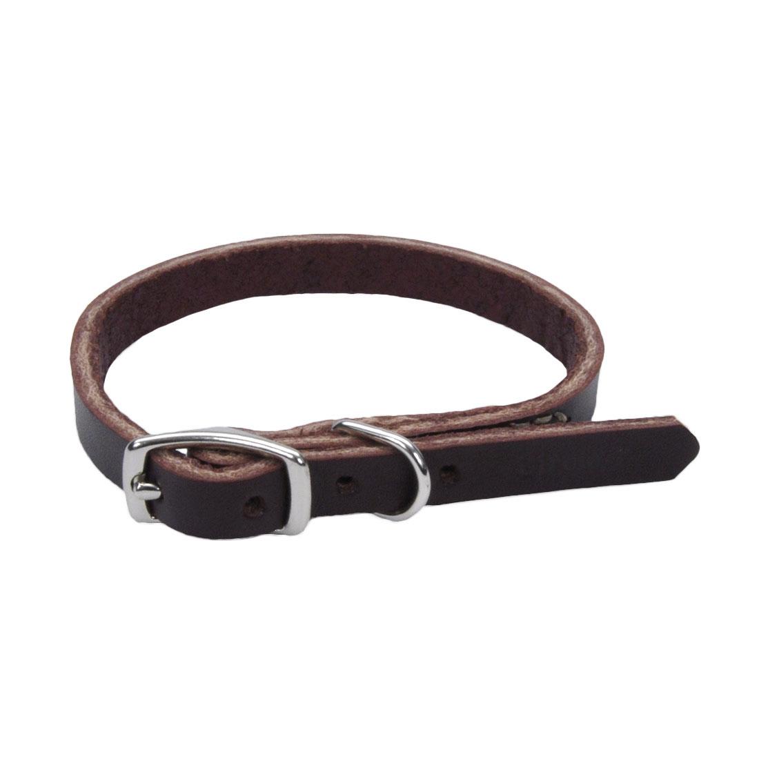 Circle T Latigo Leather Town Dog Collar, 3/8-in x 10-in