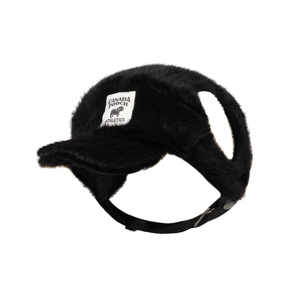 Canada Pooch Pawparazzi Dog Cap, Medium