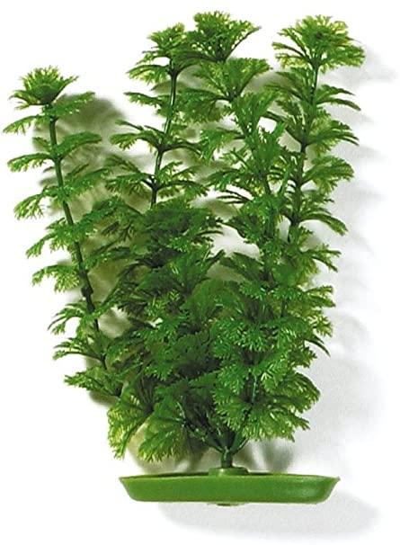 Marina Aquascaper Ambulia Plastic Aquarium Plant, 5-in