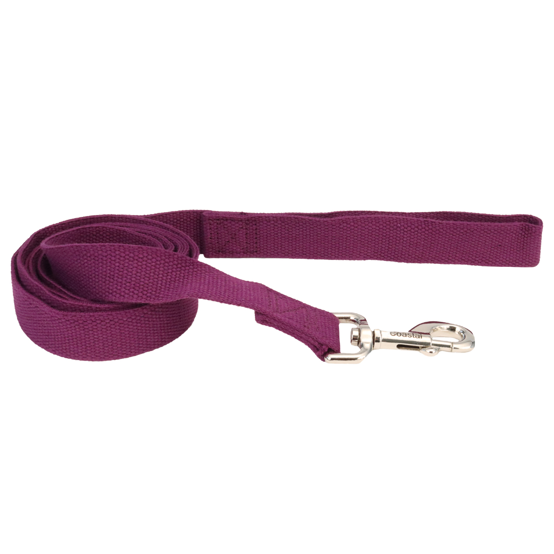 New Earth Soy Dog Leash, Eggplant, 1-inx6-ft
