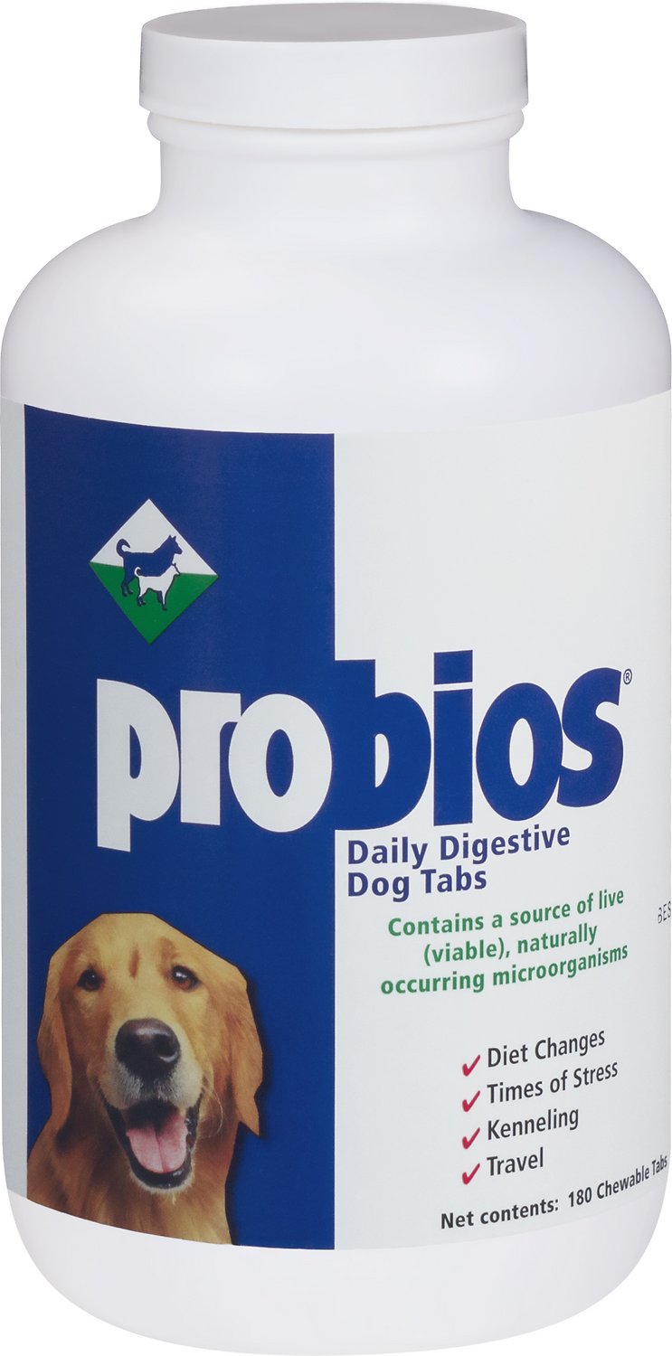 Probios Daily Digestive Dog Tabs Supplement