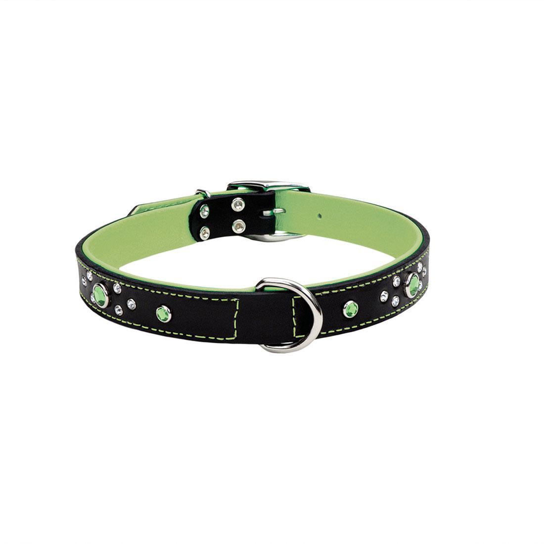 circle t dog collar