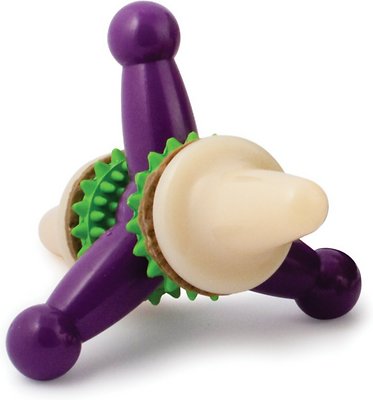 PetSafe Busy Buddy Jack Dog Toy, Medium