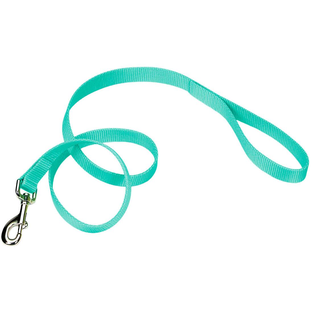 Coastal Single-Ply Dog Leash, Teal, 3/4-in x 4-ft