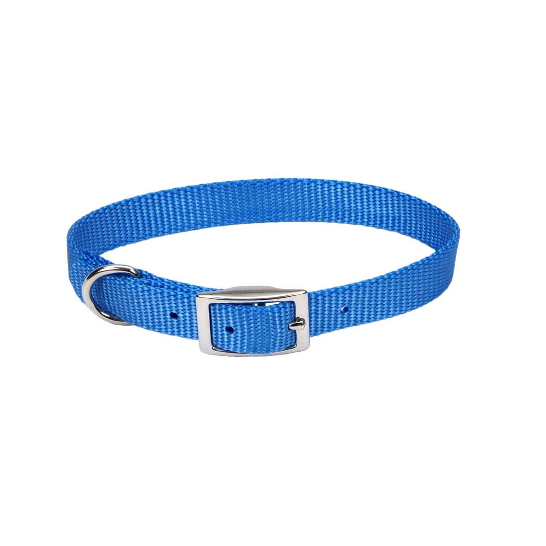 Coastal Single-Ply Dog Collar, Blue Lagoon, 5/8-in x 12-in