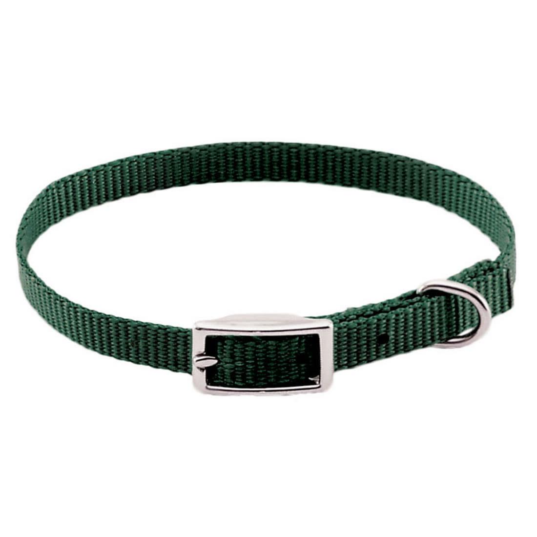 Coastal Single-Ply Dog Collar, Hunter, 3/8-in x 12-in