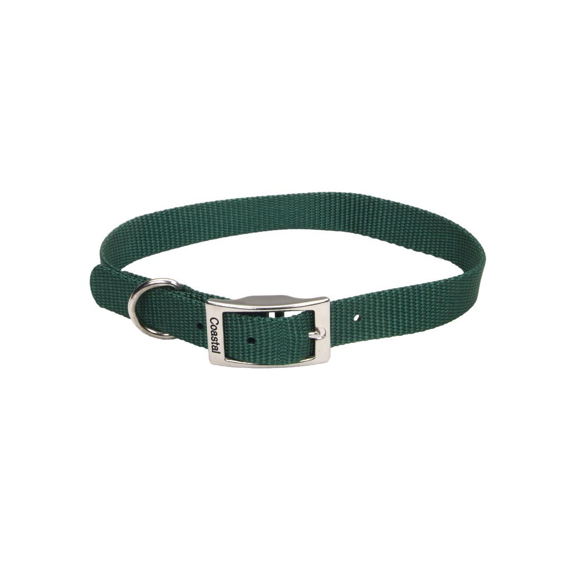 Coastal Single-Ply Dog Collar, Hunter, 3/4-in x 16-in