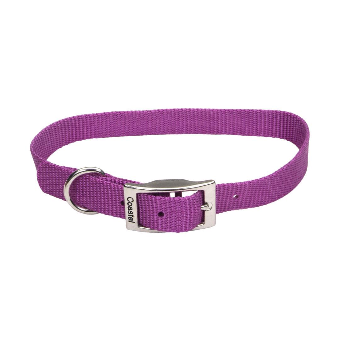 Coastal Single-Ply Dog Collar, Orchid, 3/4-in x 16-in