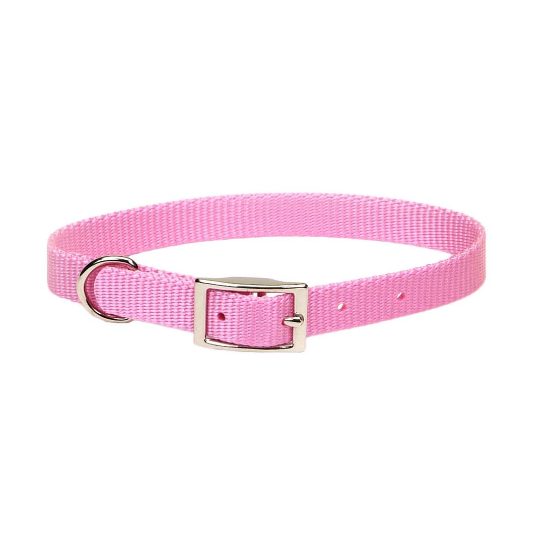 Coastal Single-Ply Dog Collar, Pink Bright, 5/8-in x 16-in