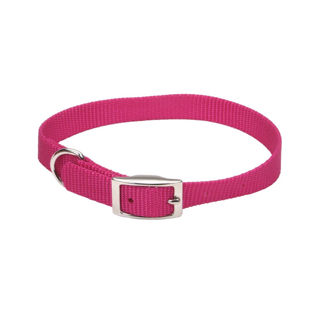 Coastal Single-Ply Dog Collar, Pink Flamingo, 5/8-in x 12-in