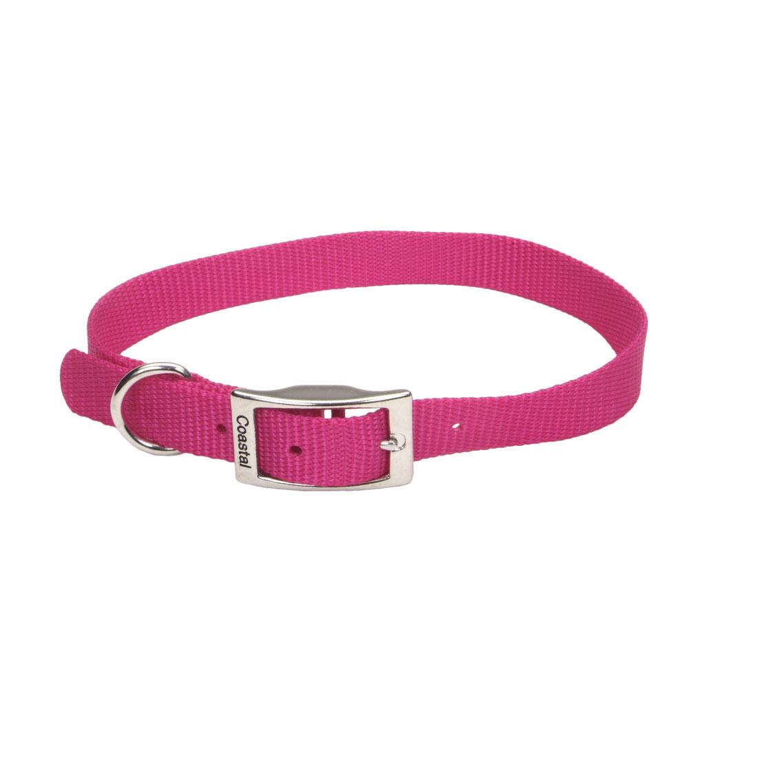 Coastal Single-Ply Dog Collar, Pink Flamingo, 3/4-in x 16-in