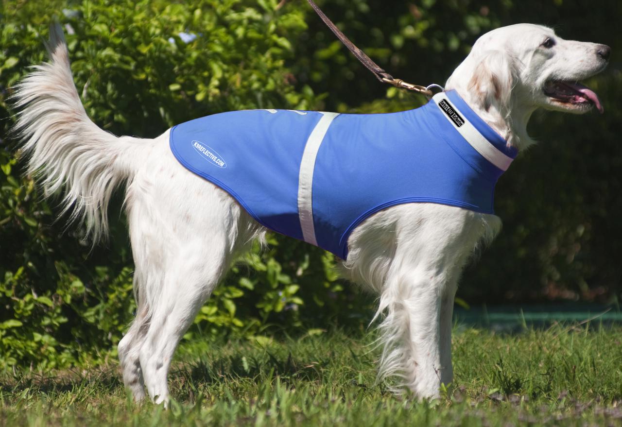 Corky's Reflective Wear Dog Jacket, Healer Blue, Small