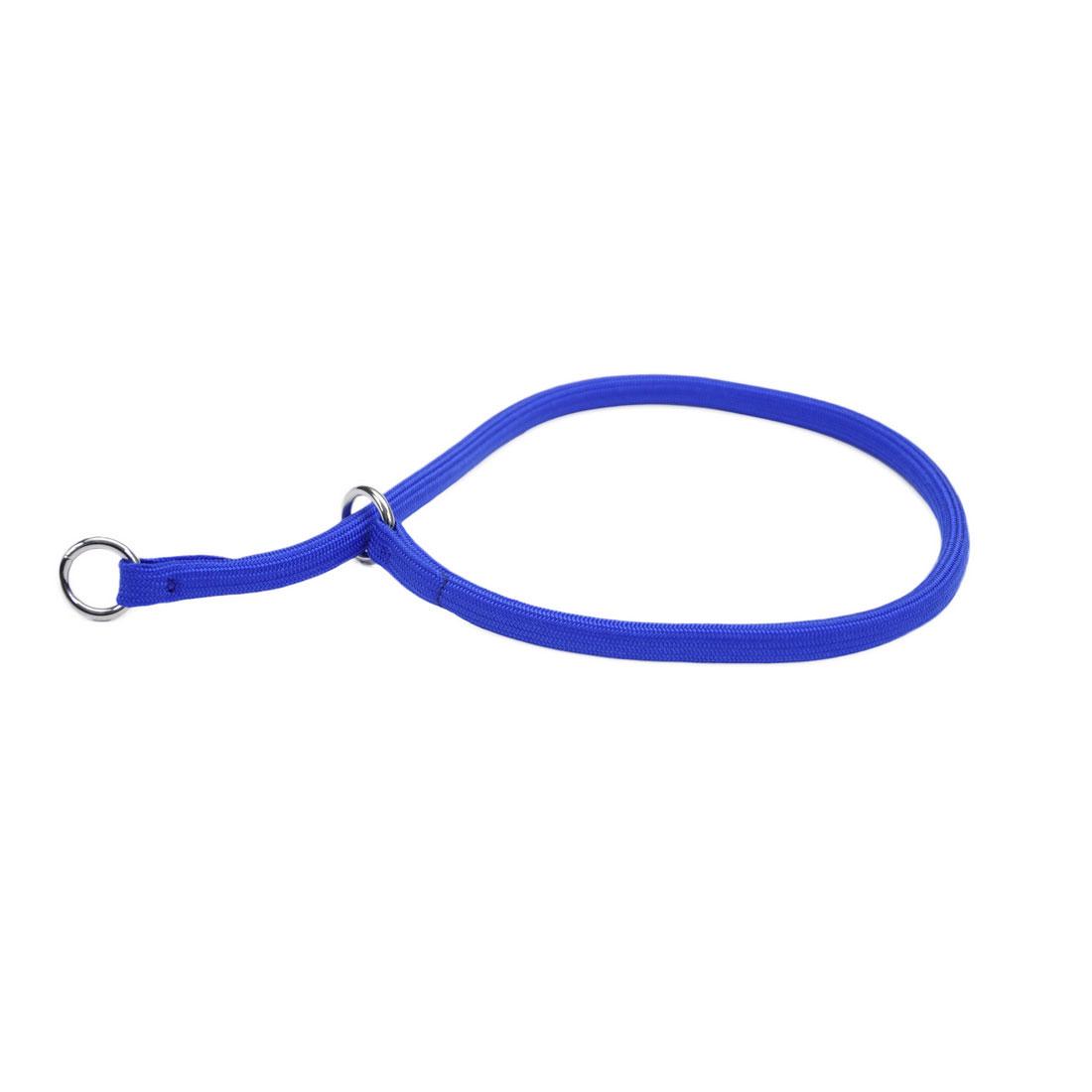 Coastal Round Nylon Dog Training Collar, Blue