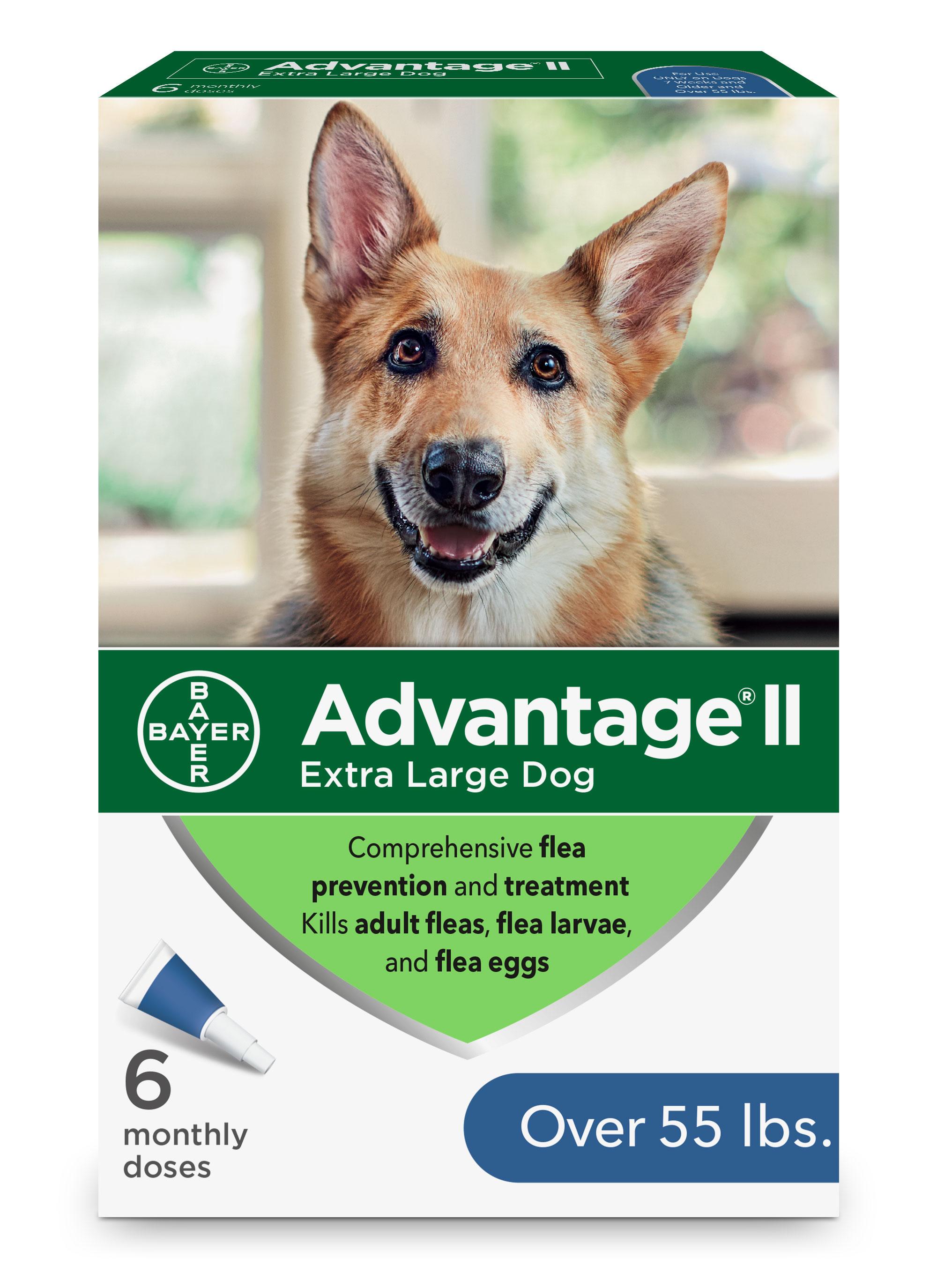 advantage 2 flea treatment