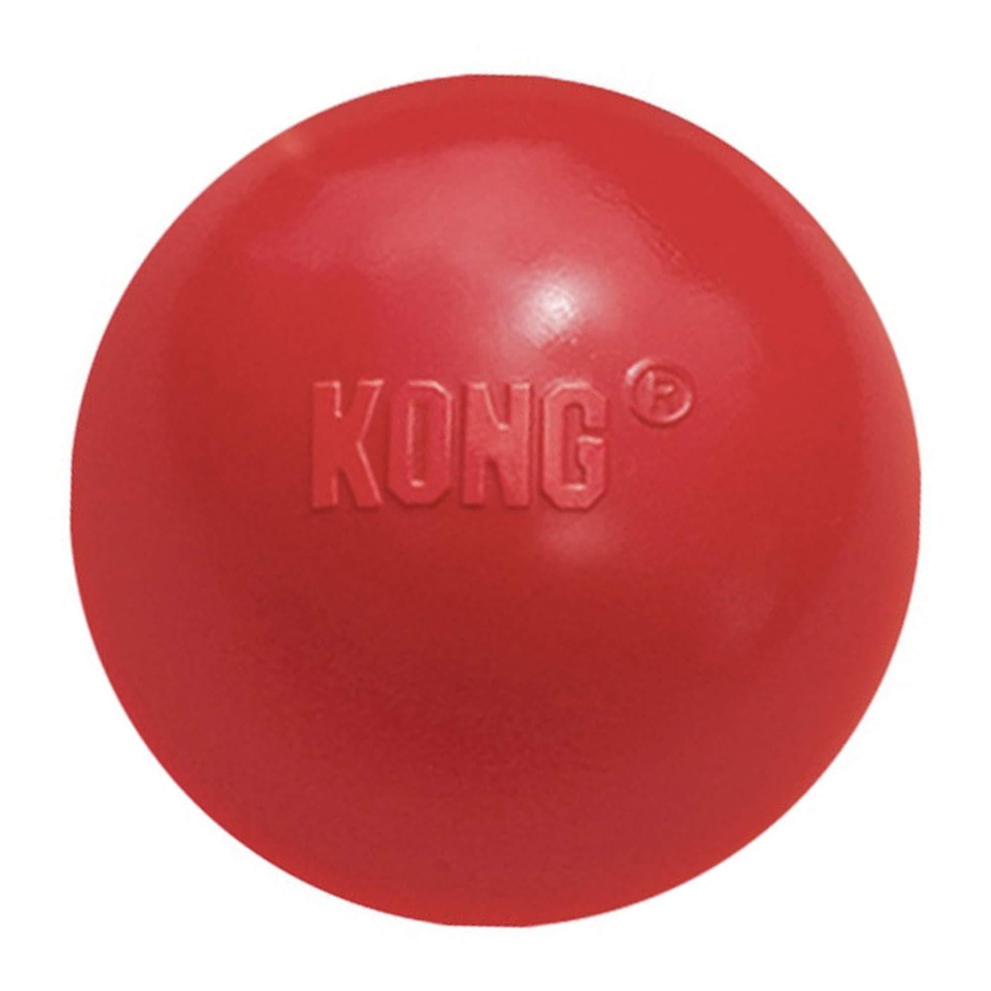 KONG Signature Ball Dog Toys
