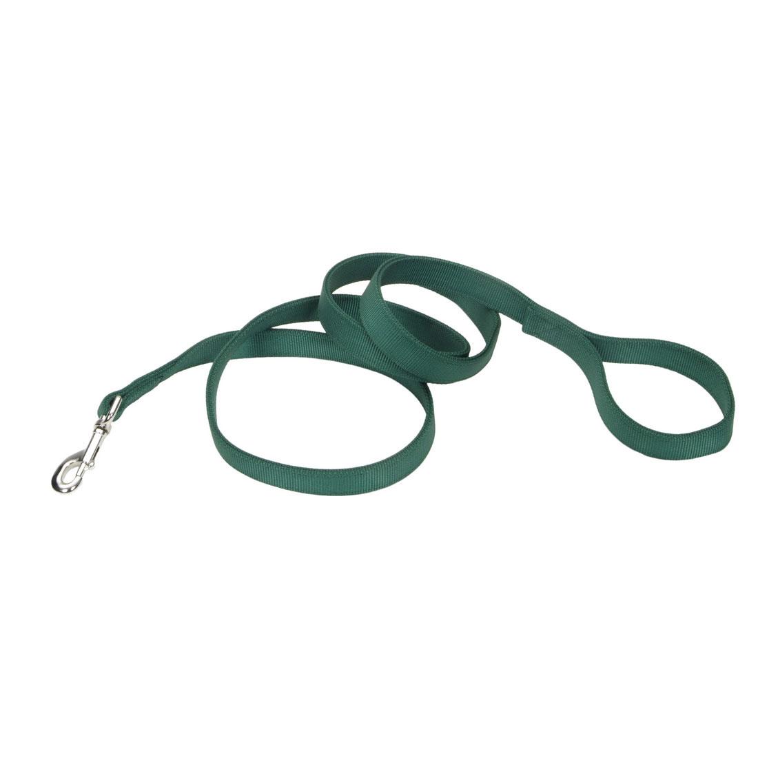 Coastal Double-Ply Dog Leash, Hunter, 1-in x 6-ft