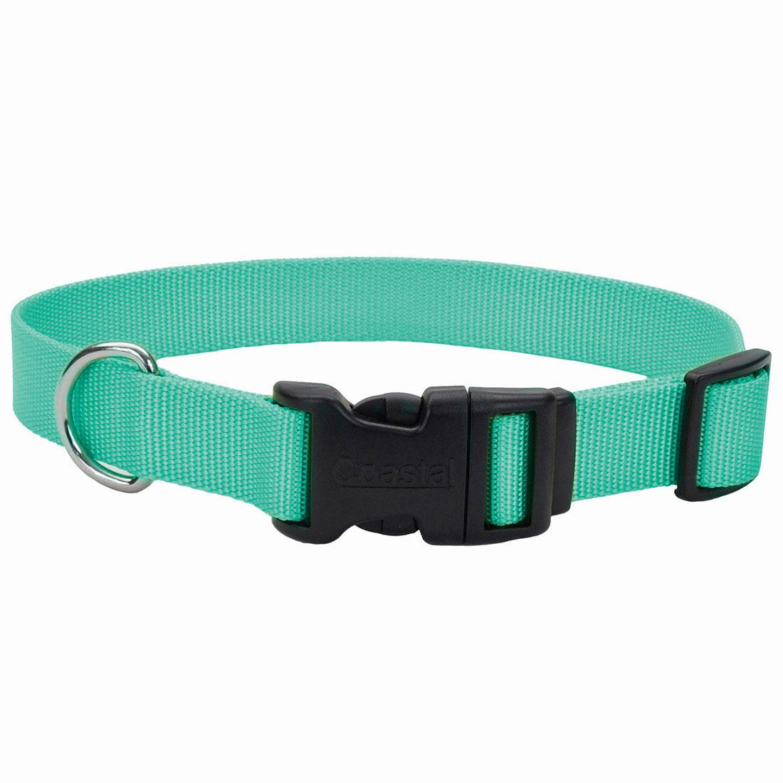 Coastal Adjustable Collar with Plastic Buckle for Dogs, Teal, 1-in x 14-20-in