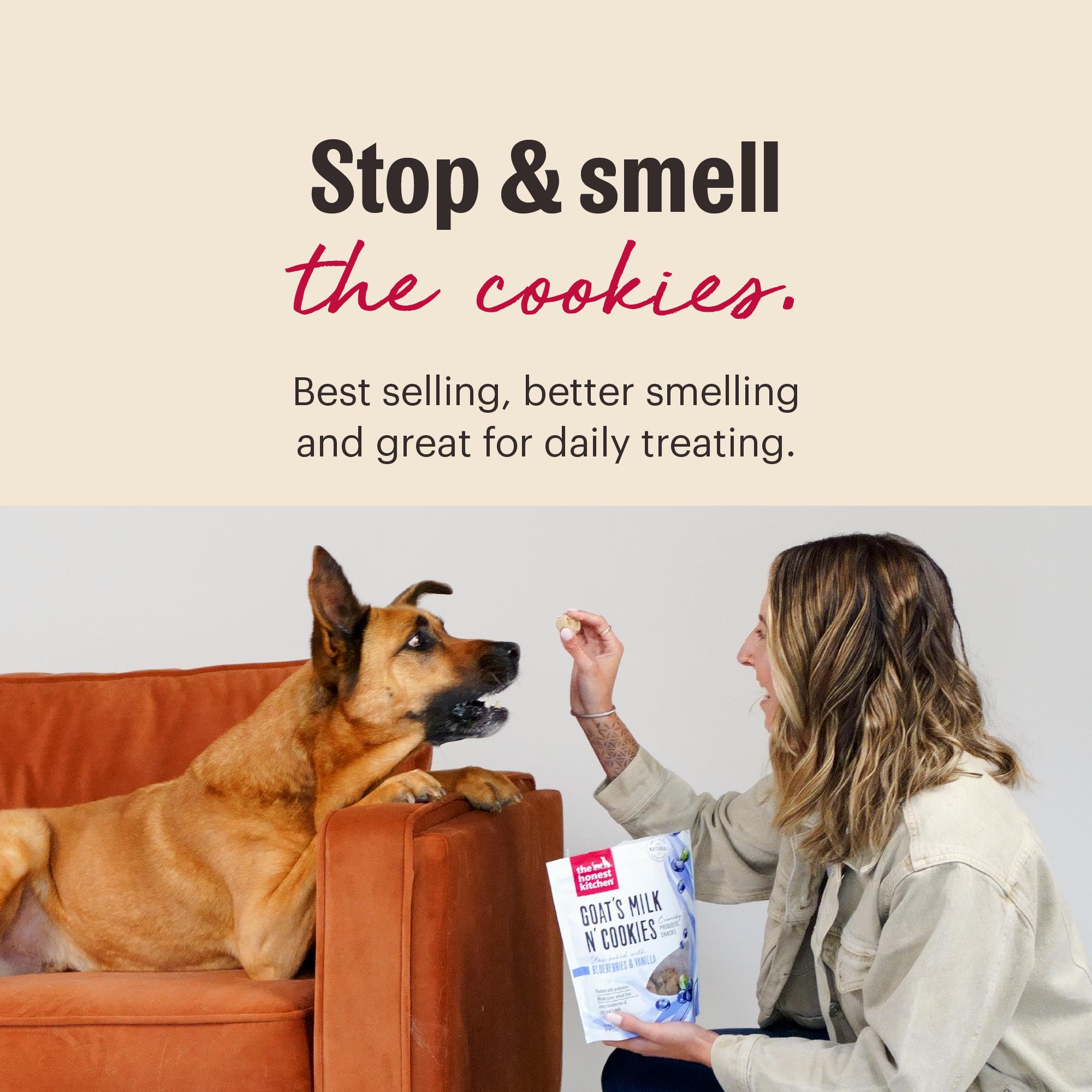 The Honest Kitchen Goat's Milk N' Cookies Pumpkin & Cinnamon Dog Treats, 8-oz